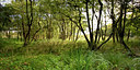BUITEN BEELD Foto: 85881