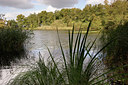 BUITEN BEELD Foto: 85883