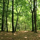 BUITEN BEELD Foto: 85889