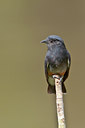 BUITEN BEELD Foto: 85984