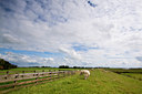BUITEN BEELD Foto: 86068