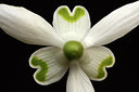 BUITEN BEELD Foto: 86078