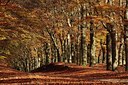 BUITEN BEELD Foto: 86114