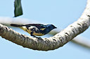 BUITEN BEELD Foto: 86123