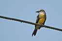 BUITEN BEELD Foto: 86134
