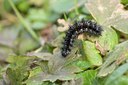 BUITEN BEELD Foto: 86265