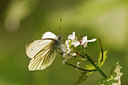 BUITEN BEELD Foto: 86296