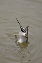 BUITEN BEELD Foto: 86324