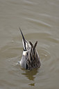 BUITEN BEELD Foto: 86325