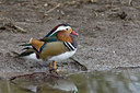 BUITEN BEELD Foto: 86326