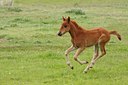 BUITEN BEELD Foto: 86358