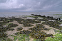 BUITEN BEELD Foto: 86393