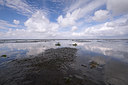 BUITEN BEELD Foto: 86402