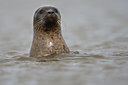 BUITEN BEELD Foto: 86449
