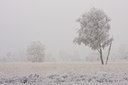 BUITEN BEELD Foto: 86479