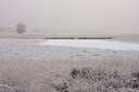 BUITEN BEELD Foto: 86481