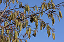 BUITEN BEELD Foto: 86516
