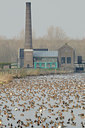 BUITEN BEELD Foto: 86615