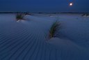 BUITEN BEELD Foto: 86633