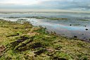 BUITEN BEELD Foto: 86655