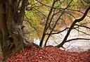 BUITEN BEELD Foto: 86672