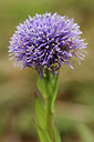 BUITEN BEELD Foto: 86706