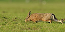 BUITEN BEELD Foto: 86771