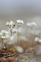 BUITEN BEELD Foto: 86773