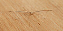 BUITEN BEELD Foto: 86783