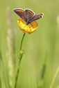 BUITEN BEELD Foto: 86787