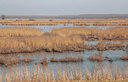BUITEN BEELD Foto: 86942