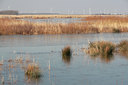 BUITEN BEELD Foto: 86945
