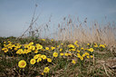 BUITEN BEELD Foto: 86962
