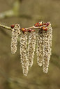 BUITEN BEELD Foto: 86977