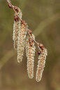 BUITEN BEELD Foto: 86978