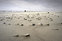 BUITEN BEELD Foto: 86991