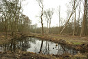 BUITEN BEELD Foto: 87053