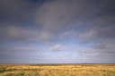 BUITEN BEELD Foto: 87067