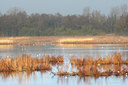 BUITEN BEELD Foto: 87085