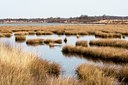 BUITEN BEELD Foto: 87121