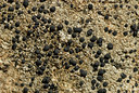 BUITEN BEELD Foto: 87126