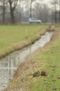 BUITEN BEELD Foto: 87127