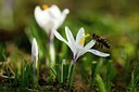 BUITEN BEELD Foto: 87222