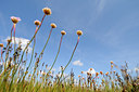 BUITEN BEELD Foto: 87257