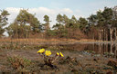 BUITEN BEELD Foto: 87343