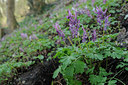 BUITEN BEELD Foto: 87359