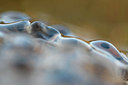 BUITEN BEELD Foto: 87383