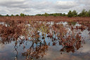 BUITEN BEELD Foto: 87392