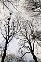 BUITEN BEELD Foto: 87580