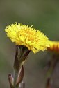 BUITEN BEELD Foto: 87660
